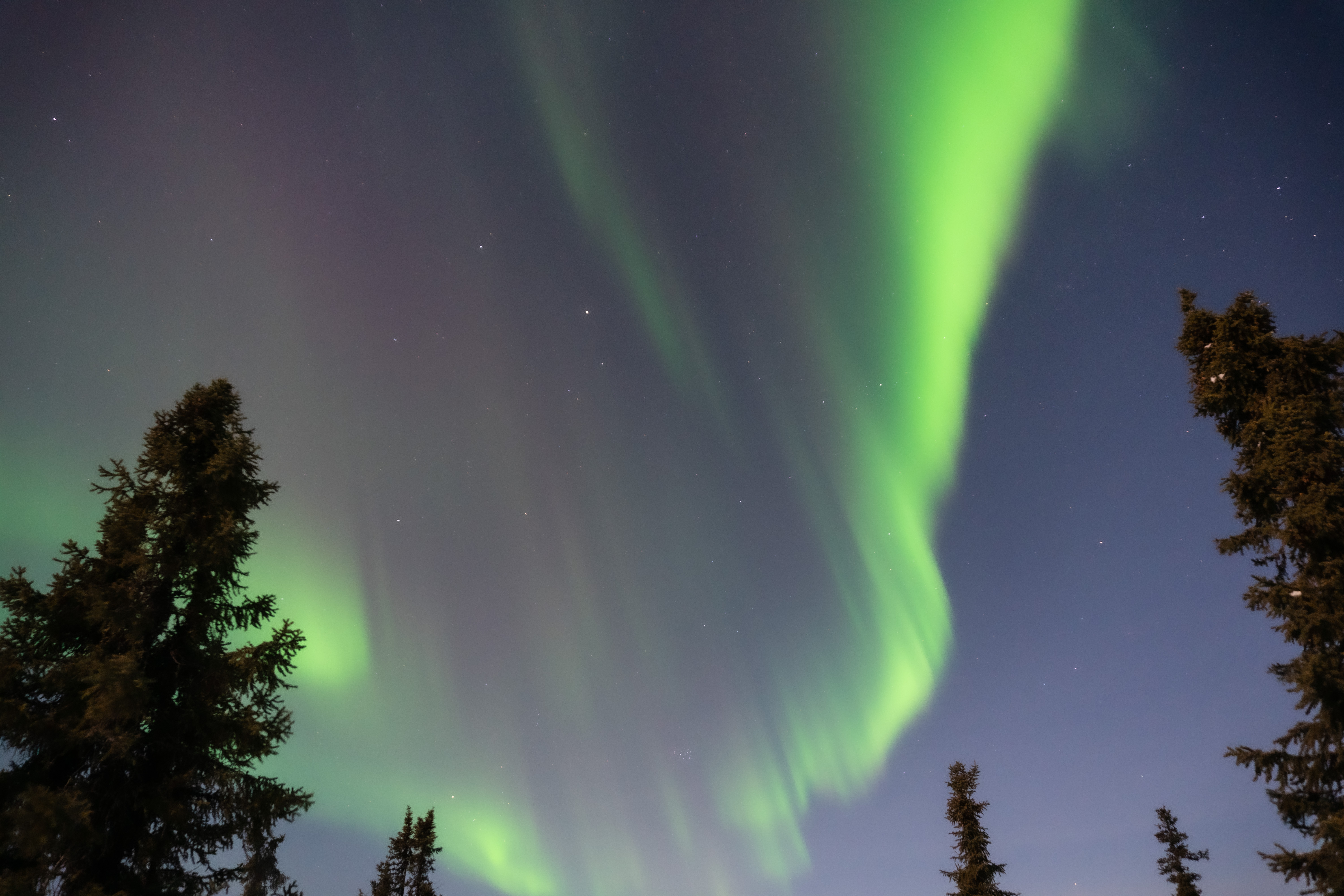 Northern Lights in Fairbanks, Alaska