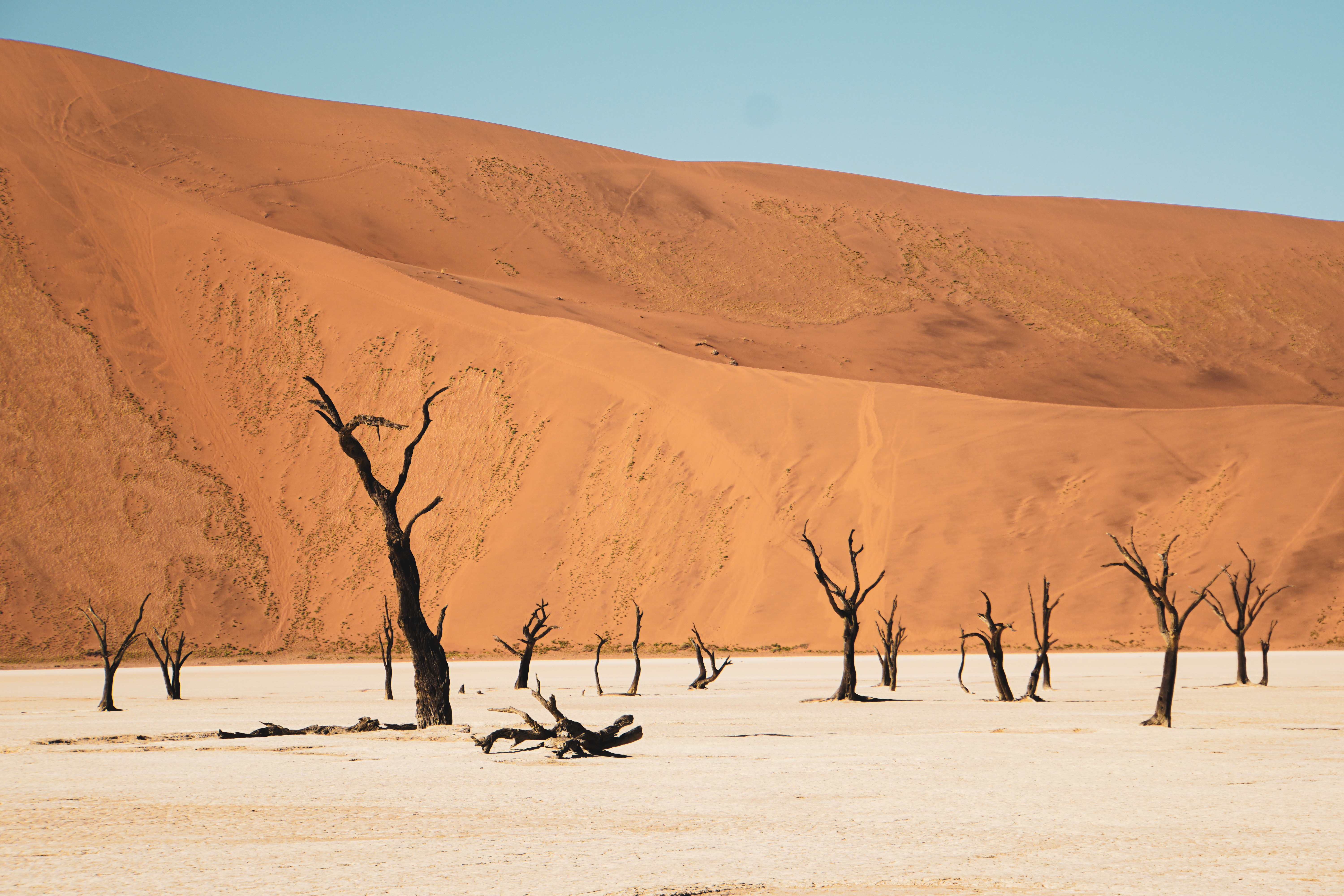 Sossusvlei, Namibia